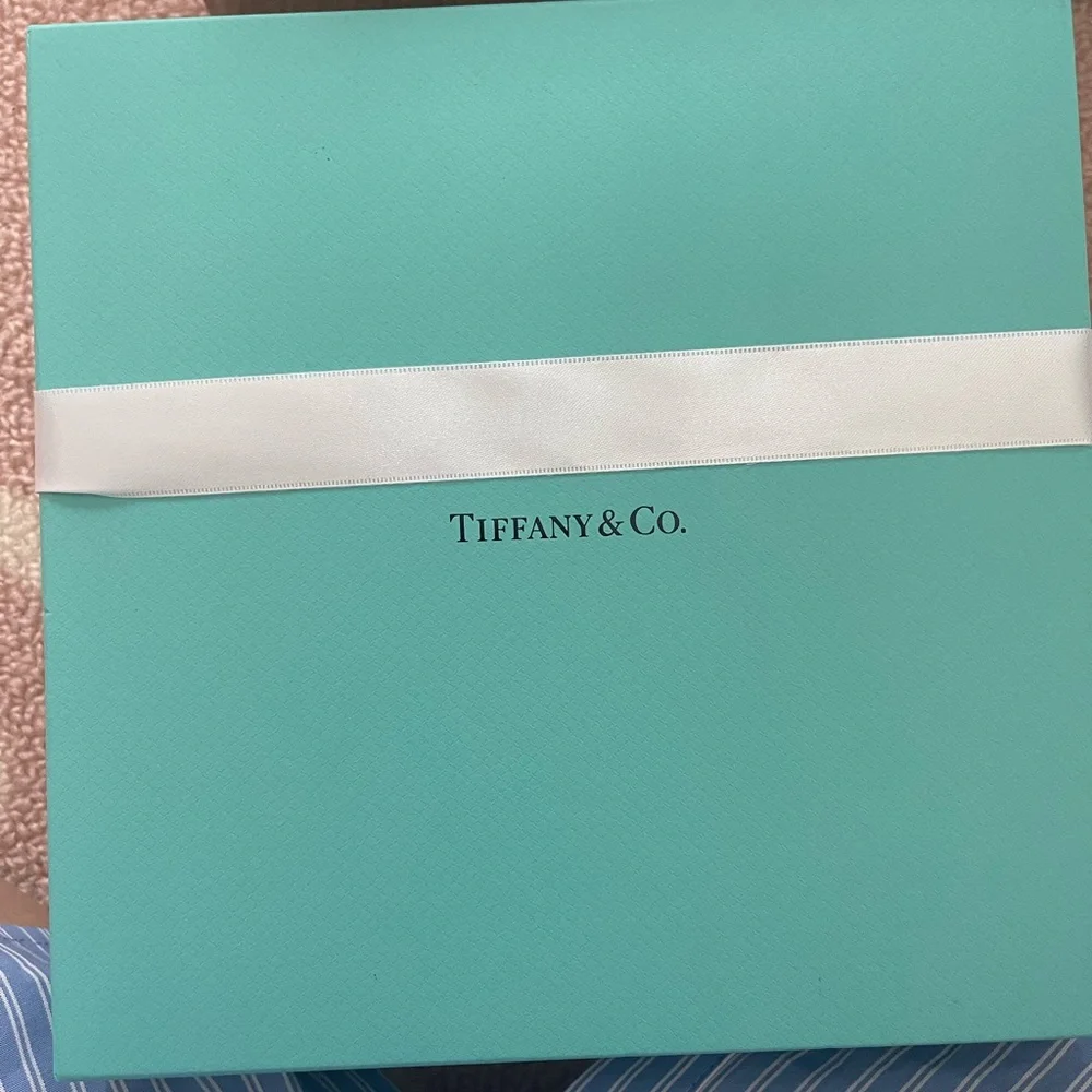 SOLD Tiffany & Co. Pale Pink Leather Mini Bag with Heart Charm Chain - Picture 10 of 10